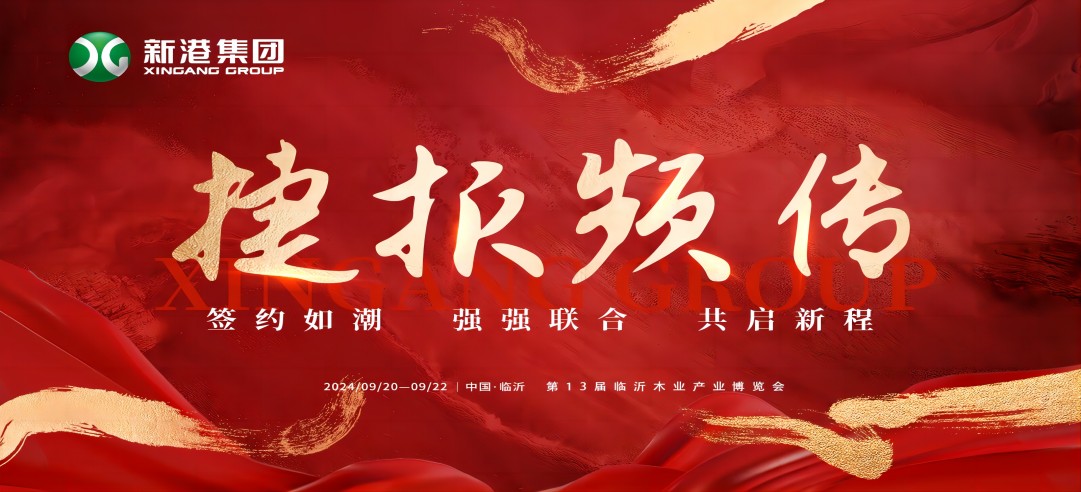 盡興逐夢戰至巔峰，新港集團X臨沂木博會載譽收官！