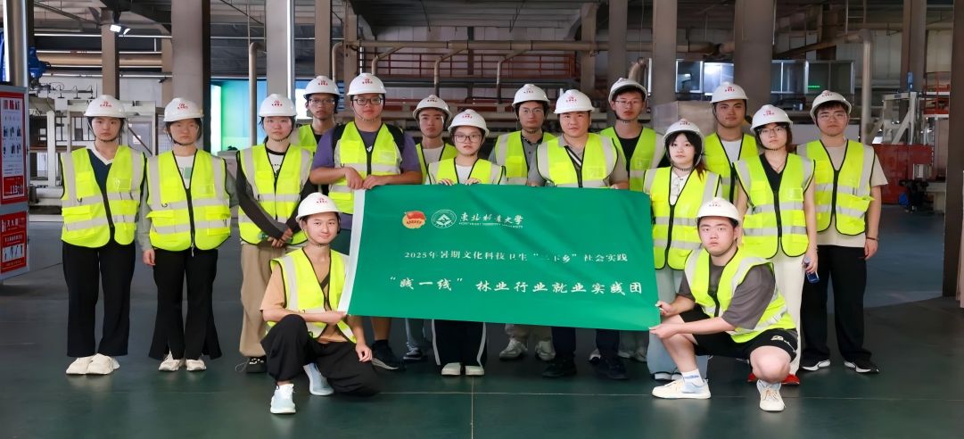 東北林業大學“踐一線”林業行業就業實踐團走進新港集團，共繪產教融合新圖景！
