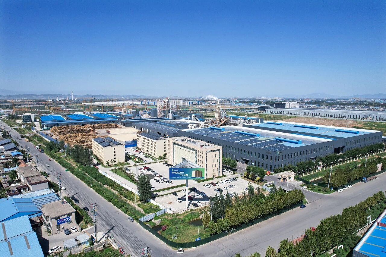 官媒聚焦！新港仿生膠，破解世界級環保難題